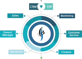CRM and ERP Development
